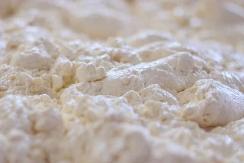 Quark - a close-up view of the texture of cottage cheese mass Stock Photos
