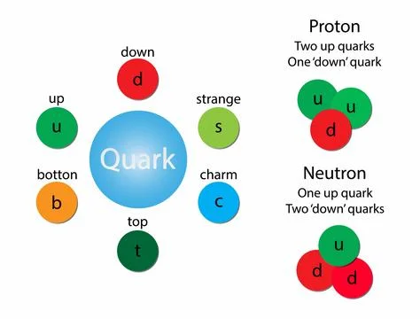 Quark is a type of elementary particle and a fundamental constituent of matter Stock Illustration