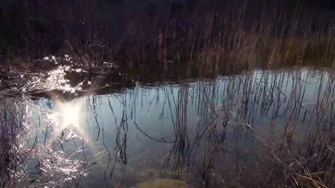 Quarry, Hungary Stock Footage 259109960