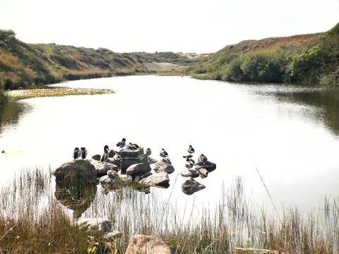 Quarry Lake Stock Photos