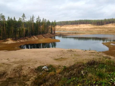Quarry in the pine forest Foto stock