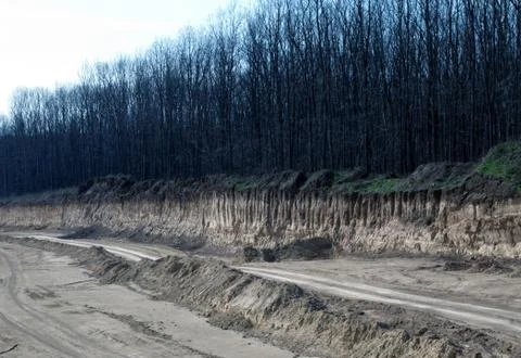 Quarry trees Stock Photos