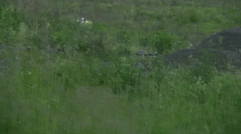 Quarry2 Stock Footage 8557886