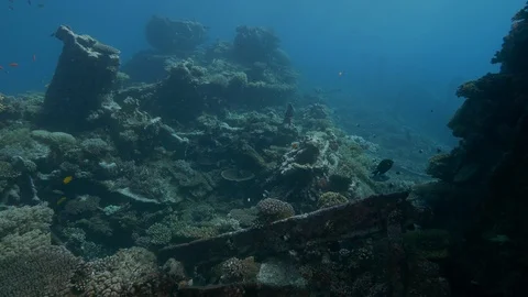 Quartdeck bollard of the shipwreck Kingston, Red Sea, Egypt Stock Footage 105524858