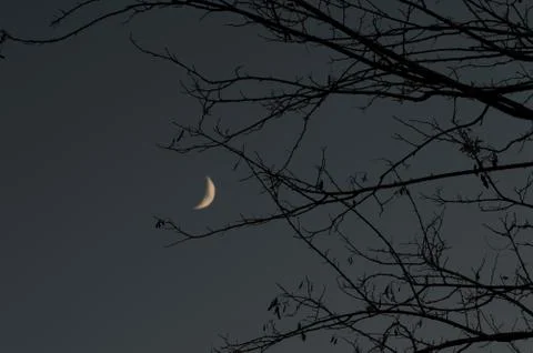 Quarter of moon Stock Photos