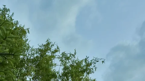 Quarter of moon time lapse  스톡 동영상 110813811