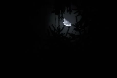 Quarter moon - Timelapse Stock Footage 263547187
