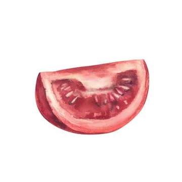 Quartered red tomato. Sliced of vegetable harvest. Hand painted watercolor fresh Illustration