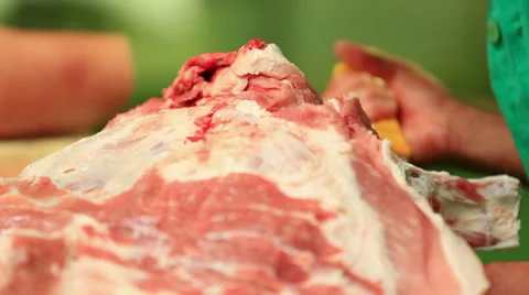 Quartering pig Stock Footage 33549039