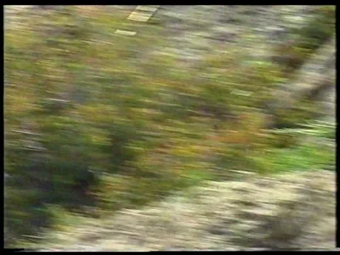 Quartz And Goats Stock Footage 343697004