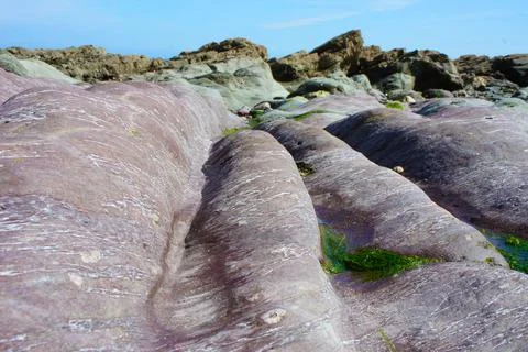 Quartz Lines on Rolling Red Cornwall Rocks by the Sea Stock Photos