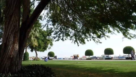 Quatar park Stock Footage 104725164