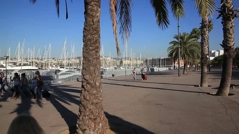 Quay in the harbor, yachts Stock Footage 70995491