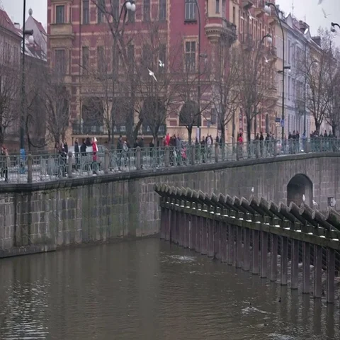 Quay of the river in Prague. Stock Footage 69424177