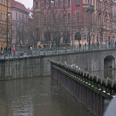 Quay of the river in Prague. Stock Footage 69424309