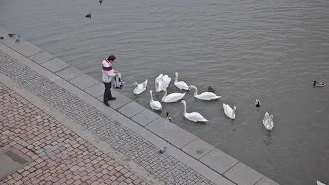 The Quay on the rivers. Stock Footage 83952464