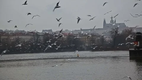 The Quay on the rivers. Stock Footage 83961867