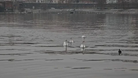 The Quay on the rivers. Stock Footage 83962040