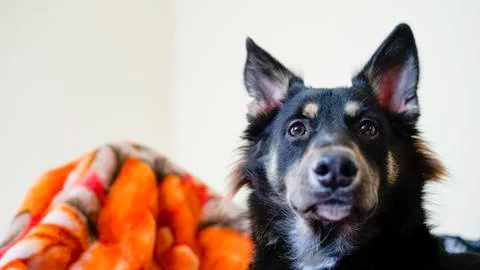 In Que for breakfast Foto stock