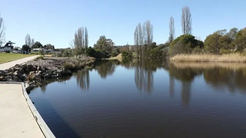 Queanbeyan River Stock Footage 202054113