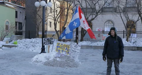Quebec and Canada flags at Freedom Protest in Ottawa Stock-Footage 170281894