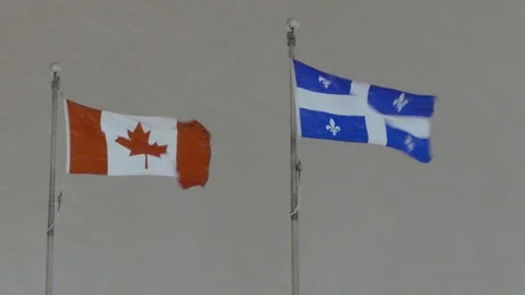 Quebec and Canada flags waving in the wind during blizzard with falling snow 스톡 동영상 103690732