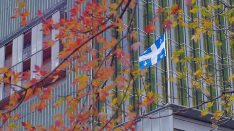 Quebec Flag with Fall Leaves and Colourful Building Stock Footage 62765996