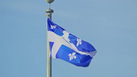 Quebec province flag in wind blue sky Видео 258274923