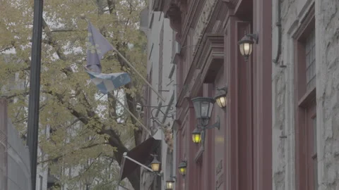 Quebec Provincial Flag Hanging during the Day in Montreal Video stock 146086540