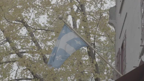 Quebec Provincial Flag Hanging during the Day in Montreal Stock-Footage 146088708