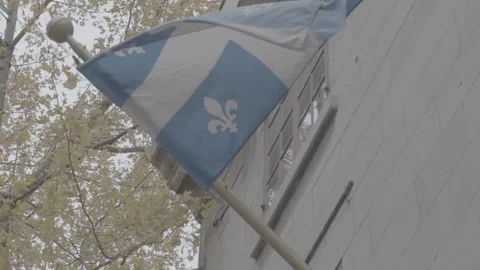 Quebec Provincial Flag Hanging during the Day in Montreal Video stock 146096298