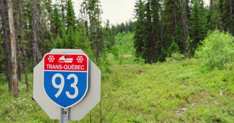 Quebec Ski Doo trail sign 93 in the forest in summer / Focus pull Vídeo Stock 130983932