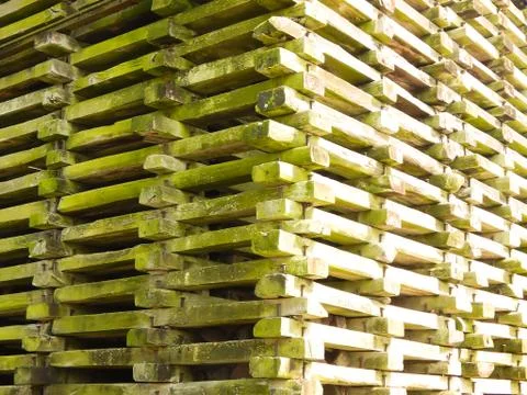 Quebracho wood structure. 库存照片