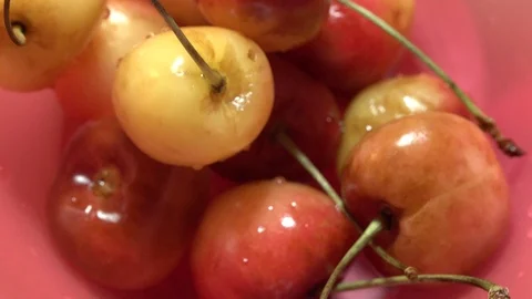 Queen Anne Cherry Close Up In Red Bowl Stock Footage 112756053