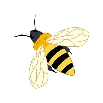 Queen bee cartoon vector illustration Stock Illustration