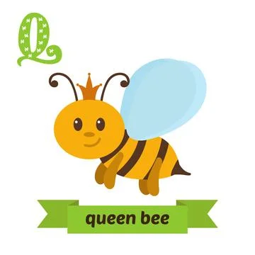 Queen bee. Q letter. Cute children animal alphabet in vector. Funny cartoon.. Stock Illustration