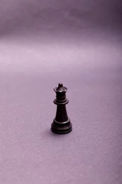 Queen of chess setup on dark background . Leader and teamwork concept for suc Stock Photos
