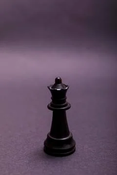 Queen of chess setup on dark background . Leader and teamwork concept for suc Stock Photos