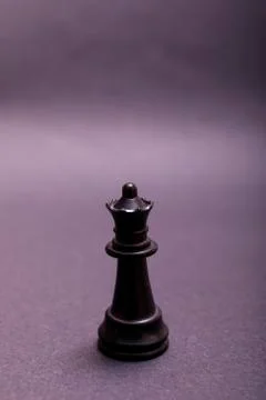 Queen of chess setup on dark background . Leader and teamwork concept for suc Stock Photos