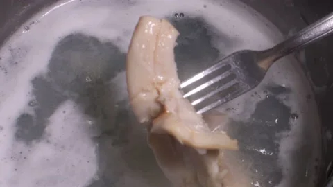 Queen Conch STROMBUS GIGAS TAKING BOILER COOKING Stock Footage 157411797