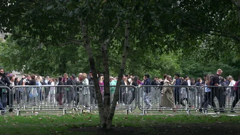 Queen Elizabeth lying in state queue Stock Footage 211306364