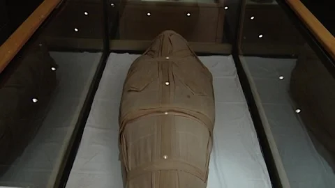 Queen Isetemkheb D Stock Footage 252835086