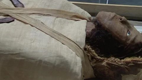 Queen Maatkare Stock Footage 252835084