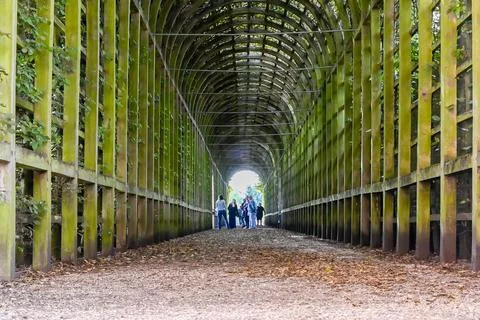 Queen Mary's bower Stock Photos