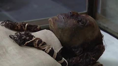 Queen Nesikhonsu Stock Footage 252835270