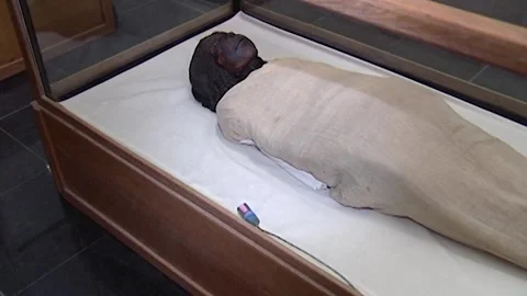 Queen Nodjmet Stock Footage 252835018