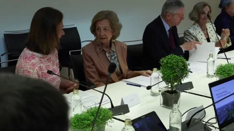 Queen Sofía closes academic year at Reina Sofía School of Music, Madrid, ES - 11 Stock Footage 337545177