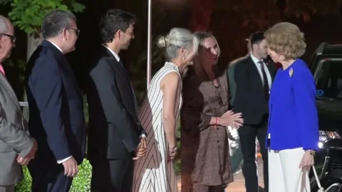 Queen Sofía presides over flamenco charity gala of Granada Music and Dance Festi 스톡 동영상 337573538
