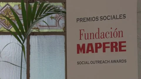 Queen Sofia presides over the Mapfre Foundation social awards ceremony, Madrid,  Stock Footage 218021428
