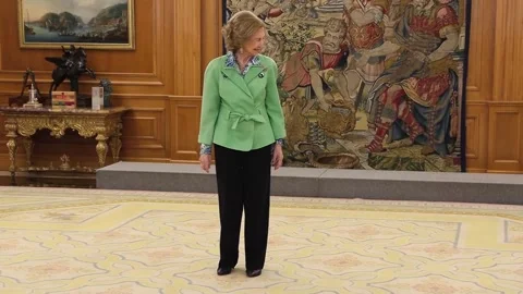 Queen Sofia receives in audience representatives from the Spanish Confederation  Stock Footage 310128022